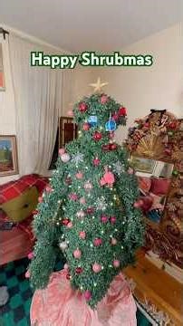 Happy Shrubmas!! From our hedges to yours 💚🌳 #Shrubmas #ChristmasOutfitIdeas #Decorating #Costume