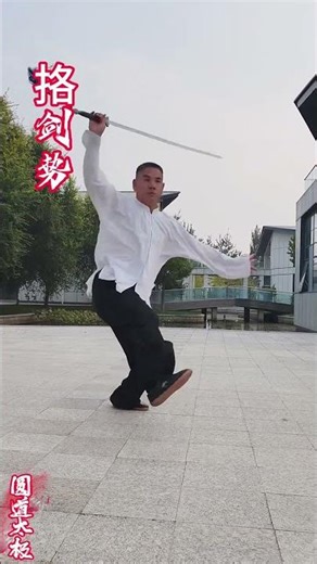 圆道太极剑法｜马章亮大师演示古法剑术 #太极 #剑法 #非遗