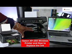 Epson XP-255 Wireless Printer : How to Replace the Ink?