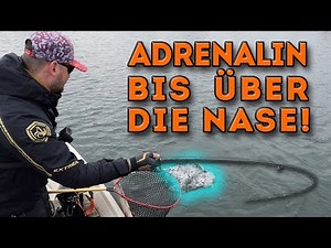 XXL Lachse im Almsee | Forellenangeln am Forellensee