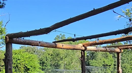 Solarizing weeds and solar lights up
