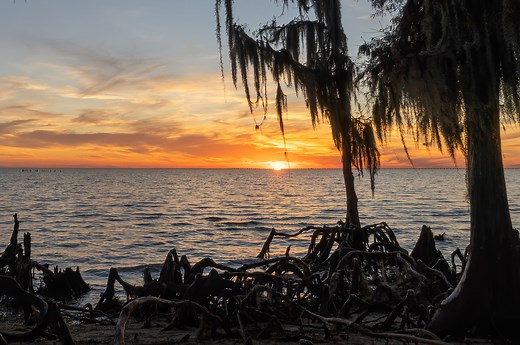 Fountainebleau State Park camping | The Heart of Louisiana