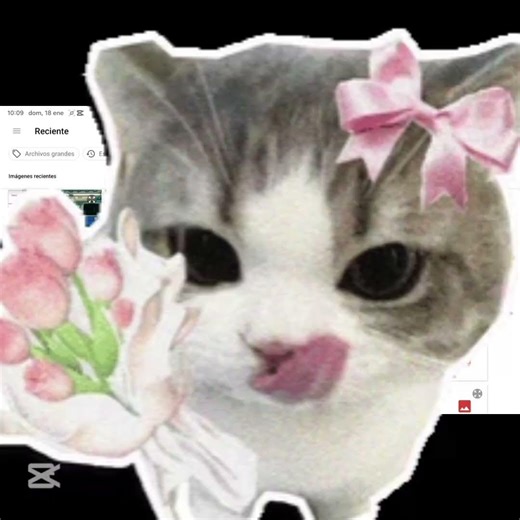 #WIDGET:;-- Tutorial de como teder widgets!! :: #fypシ #paratiii || Cc: Mios!