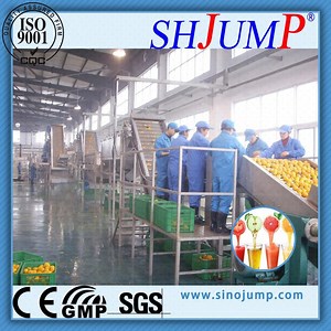 [Hot Item] Full-Automation Lemon Juice Processing Line/Lemon Processing Machinery