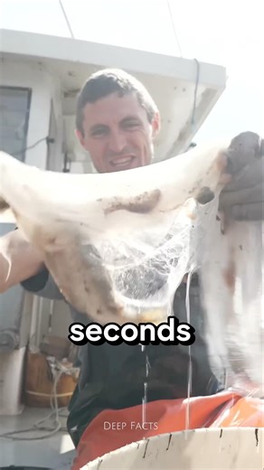 What Happens When You Touch a Hagfish?
