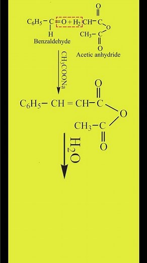Perkin's Reaction | Preparation of Cinnamic Acid | Carbonyl Compounds | Organic Chemistry Class 12