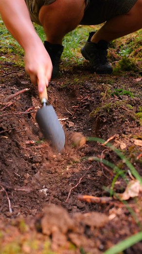 Fragrant herbs infuse a copper pot of boiling water over an open fire in the serene forest setting. #OutdoorCooking #HerbalDrink #NatureCooking #Cooking | Cook Loop