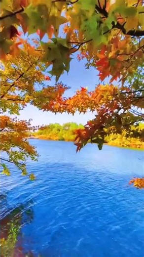 2411_0_073-Infinite Signal_18