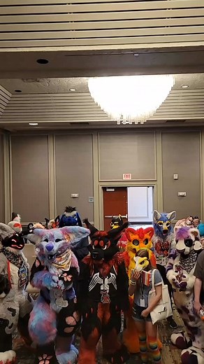 Fun Fursuit Panel at Anthrohio Event