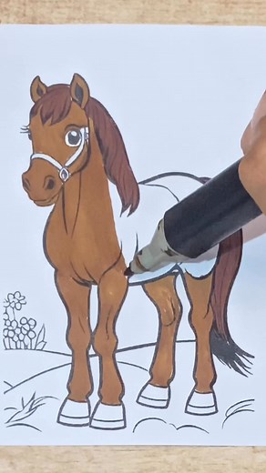 25K views · 885 reactions | História de seguidor | História de seguidor | Facebook