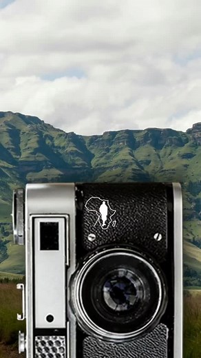 Travelling solo? Destination Africa will be with you every step of the way. Read about Nadjas trip here. https://www.destinationafrica.travel/destination-diaries/solo-travel-south-africa/ #solotravelwoman #DestinationAfricaTravel #southafrica #dmc #travelafrica | Destination Africa