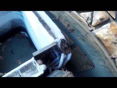 Rheem heat pump - No defrost