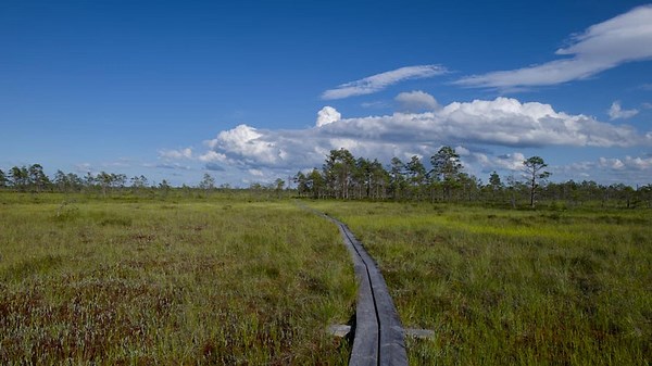 A Visual Journey Through the USA’s Most Scenic Drives