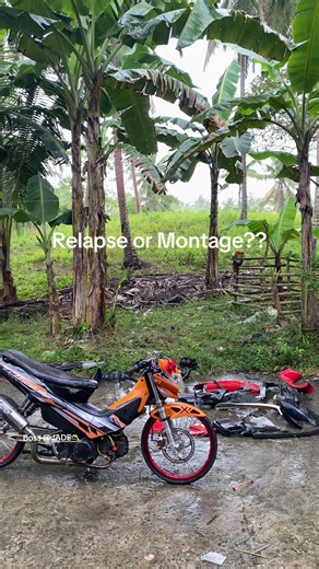 Exploring the Stretbike Concept: Relapse or Montage?