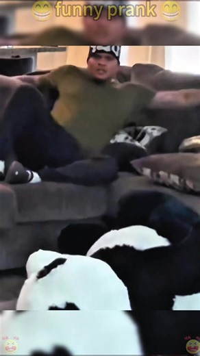 Funny prank #foryou #funny #fyp #prank #usa