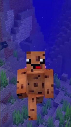 Left Handed In Minecraft?!