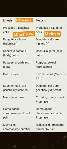 Explain Difference between Mitosis and Meiosis