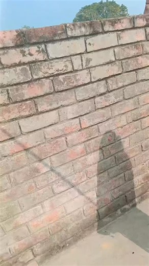 Priyanka Devi on Instagram: "# short video hamko tumse pyar h song#"