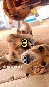 Times car guys had some trouble! #automotive #carlifestyle #carlife #supercars #CarSport | Revverse