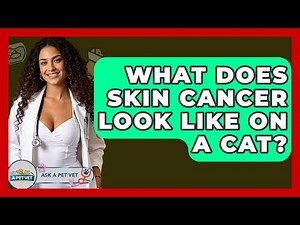 What Does Skin Cancer Look Like On A Cat? - Ask A Pet Vet