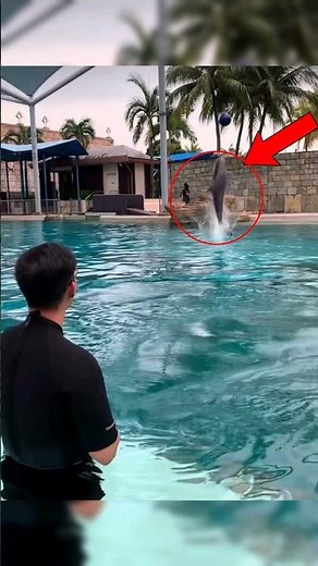 Top 5 Smartest Sea Creatures in the Ocean (#1 Is Insane) 😱