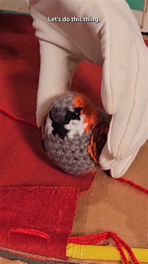 4.1K views · 49 reactions | A true and accurate retelling of the Wright brothers' first flight. | The Museum of Flight | Facebook