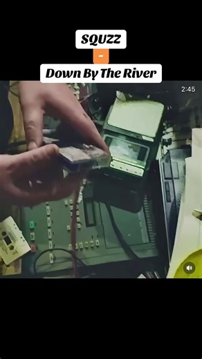 #toledopunk #toledopunx #toledo #toledoohio #toledocheck