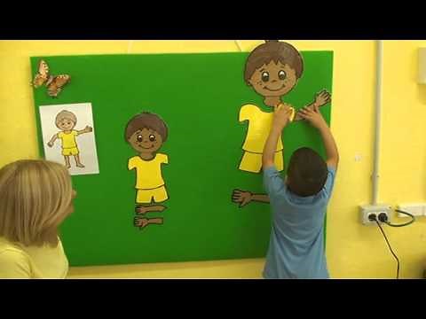 Educación Infantil 3 años El cuerpo humano