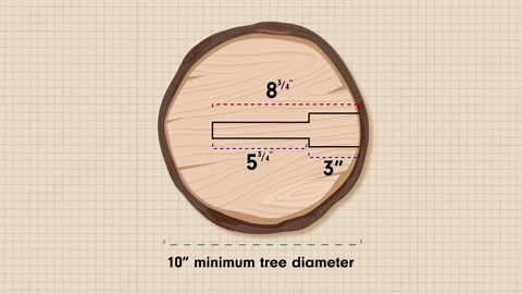Nelson Treehouse Hardware Kit - Tree Fort Dynamic Yoke with 2 TABs