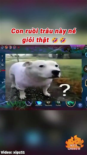 Con ruồi trâu này né giỏi thật 🤣🤣 #shorts #lienquanmobile #liênquânmobile #lienquan #liênquân