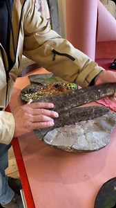 #MineralMonday Spotlight: Did you know that Ammonite fossils, like this stunning handheld piece, are millions of years old? Handpicked by co-owner Tracy Day Chief, this Ammonite fossil not only showcases nature’s artistry but is also believed to amplify energy. Ready to add a piece of history to your collection? Check out our selection now or DM for pricing! #AmmoniteFossil #FossilFinds #HealingStones #CrystalCollector #Ammolite #GemstoneTreasures #RareBlue #IndigoAmmolite #CrystalHealing #Miner