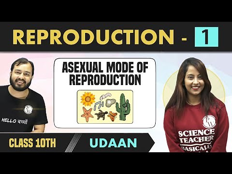 How do Organism Reproduce? 01 | Asexual Mode of Reproduction | Class 10 | NCERT | Udaan