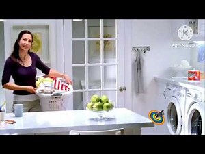 SC Johnson logo history