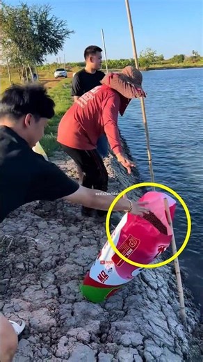 fish viral video 🤣 #funny #funnyvideo