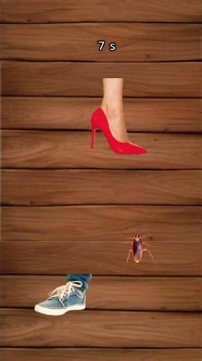 The likes are how many times the cockroach got stomped