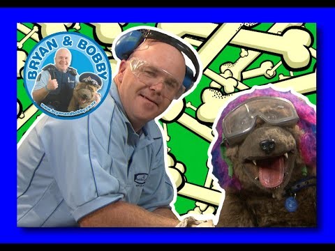 Tools are not Toys! - Bryan & Bobby | Learning made fun | Safety