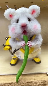 Baby Mice Eating Vegetables Stock Footage Video (100% Royalty-free) 3500365153 | Shutterstock