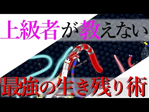 ほぼ全ての攻撃を無効化する最強の防御術解説【Slither.io】explanation video