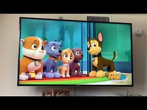 Paw Patrol Marshall's Wipeout #38