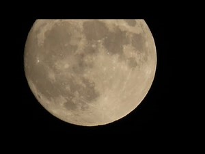 Canon powershot sx70 hs zoom test