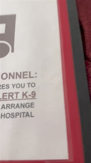 How to make your own handy red binder (or folder, depending on how many records you have to gather) #Cardiacalertdog #seizurealertdog #migrainealertdog #workingdog #wlgsd #germanshepherd #dogtraining #ambulatorywheelchairuser #mcas #ehlersdanlossyndrome #pots | Demon.Dog.Duo