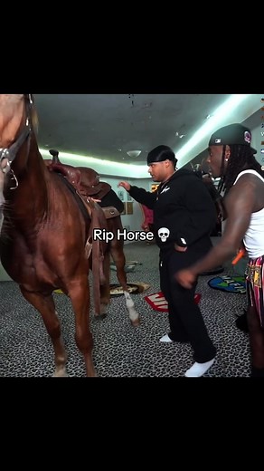 Fanum and Kai Cenat Horse Riding Mishap