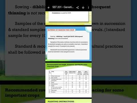 Seed Genetic purity test