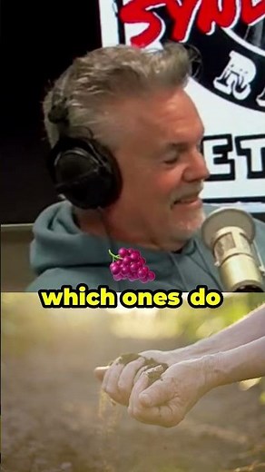 Apocalypse Survival Test: Which Dystopian Future Becomes Reality?