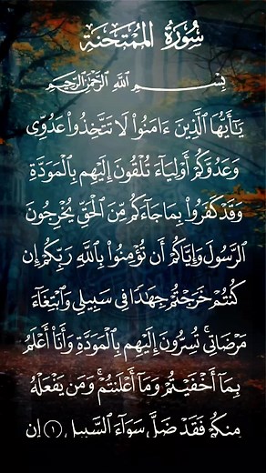 سورة الممتحنة مكتوبة بصوت الشيخ سعد الغامدي