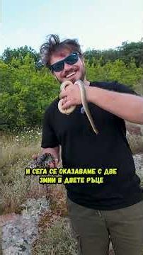 🐍Двата най-едри вида змии в България🐍