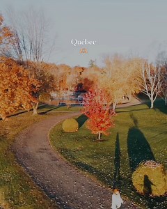 1.7K views · 48 reactions | Quebec is the biggest province in Canada, bursting with beauty and adventure. 朗 It's the perfect place to quench your wanderlust, and we've gathered seven great road trip routes to guide you through the province's best sights and experiences - from city-side escapes to scenic regional routes and wondrous hidden gems: https://ca-na-da.com/3YZUbY3 : Bonjour Québec : camille_labonte | Canada Keep Exploring | Facebook