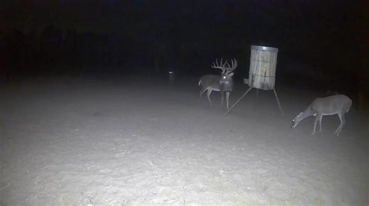 🏆 T’s Ranch — Trophy Whitetail Hunts Experience world-class South Texas hunting in comfort and style. A few prime dates remain for this season — don’t miss your chance at a true trophy-class buck. 📍 Junction, TX 🦌 All-inclusive lodging, chef-prepared meals & expert guides 🌐 www.SouthTexasHuntingOutfitters.com 📞 (979) 877-8348 #deerhunter #southtexashunting #texastrophyhunters #trophydeer #whitetail #texastrophyhuntersassociation #southtexas #whatgetsyououtdoors #corporatehunts #deerhunting 