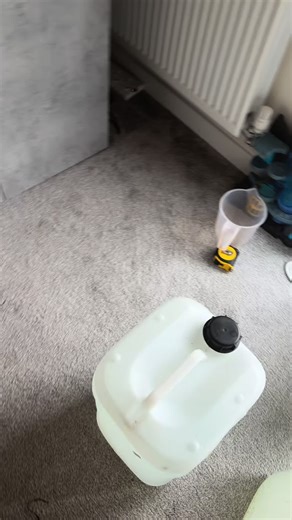 Setting Up Our 255L Saltwater Tank: A Step-by-Step Guide