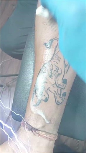 Bull tattoo outlines